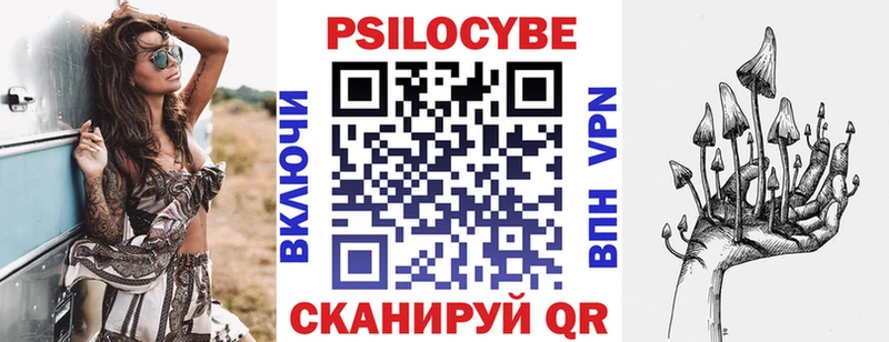 Галлюциногенные грибы Psilocybe  darknet как зайти  Балтийск  закладка  кракен онион 